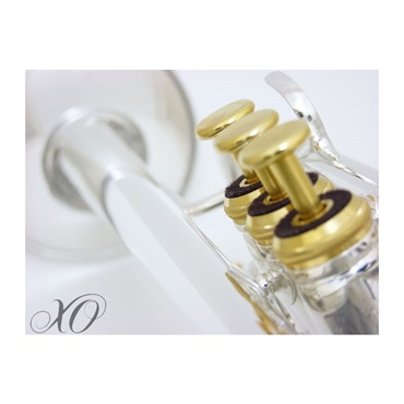 XO エックスオー / 1600IS (Roger Ingram モデル) 【Bb トランペット】【出荷前調整で安心】 画像3