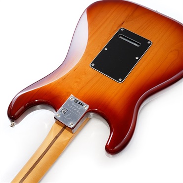 Fender MEX Player Plus Stratocaster (Sienna Sunburst/Pau Ferro) [Made In Mexico] 画像6