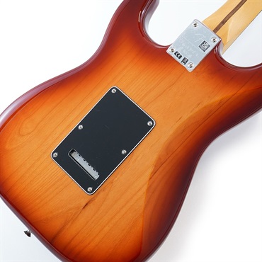 Fender MEX Player Plus Stratocaster (Sienna Sunburst/Pau Ferro) [Made In Mexico] 画像7