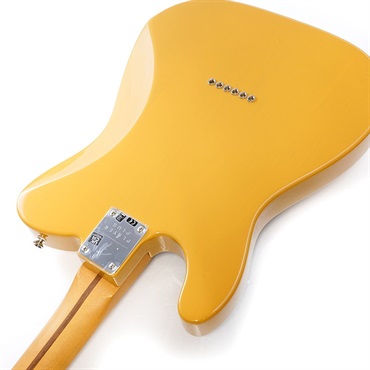 Fender MEX Player Plus Telecaster (Butterscotch Blonde/Maple) [Made In Mexico] 画像6