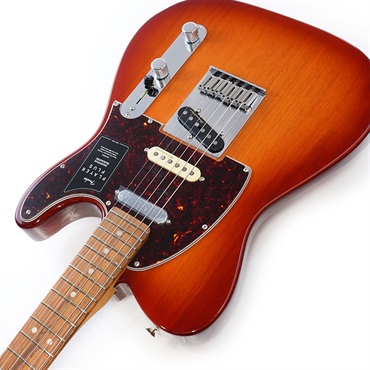 Fender MEX Player Plus Nashville Telecaster (Sienna Sunburst/Pau Ferro) [Made In Mexico] 画像5