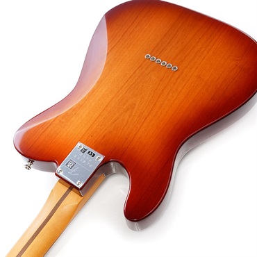 Fender MEX Player Plus Nashville Telecaster (Sienna Sunburst/Pau Ferro) [Made In Mexico] 画像6