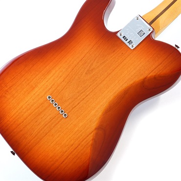 Fender MEX Player Plus Nashville Telecaster (Sienna Sunburst/Pau Ferro) [Made In Mexico] 画像7