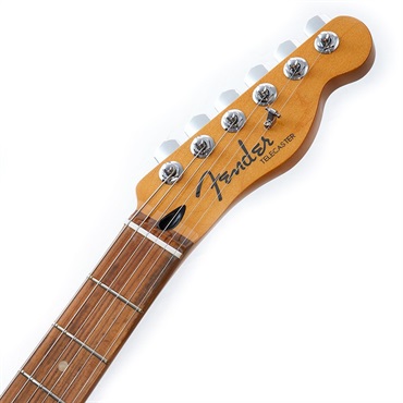 Fender MEX Player Plus Nashville Telecaster (Sienna Sunburst/Pau Ferro) [Made In Mexico] 画像8