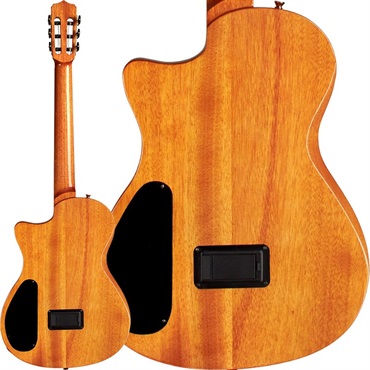 Cordoba STAGE GUITAR (Edge Burst) コルドバ 画像1