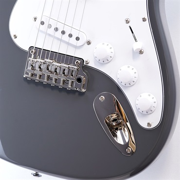 P.R.S. SE Silver Sky Maple(Overland Gray) [John Mayer Model] 画像4
