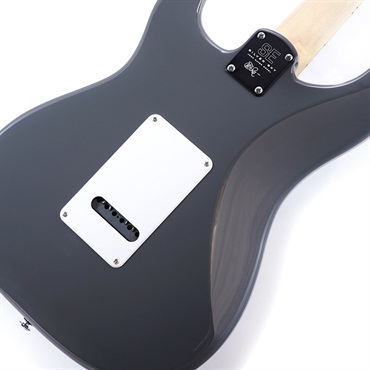 P.R.S. SE Silver Sky Maple(Overland Gray) [John Mayer Model] 画像7