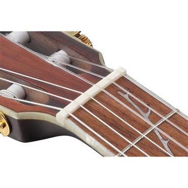 Ibanez TOD10N-TKF [Tim Henson Signature Model TOD10N] アイバニーズ 画像7