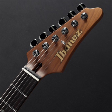 Ibanez LM1-LWH [Luca Mantovanelli Signature Model] 画像4