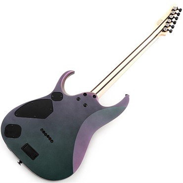 Ibanez Prestige RGD3121-PRF [SPOT MODEL] 画像2