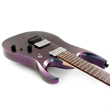 Ibanez Prestige RGD3121-PRF [SPOT MODEL] 画像8