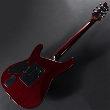 SCHECTER HellRaiser C-1 FR [AD-C-1-FR-HR] (BCH) 画像5
