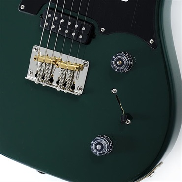 P.R.S. Myles Kennedy (Hunters Green )  SN.0402088 【2025年生産品】 画像4