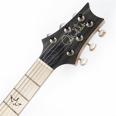 P.R.S. Myles Kennedy (Hunters Green )  SN.0402088 【2025年生産品】 画像8