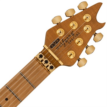 EVH Wolfgang Special QM (Purple Burst/Baked Maple) 画像4