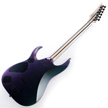 Ibanez Prestige RGD3121-PRF [SPOT MODEL] 画像2