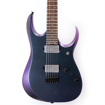 Ibanez Prestige RGD3121-PRF [SPOT MODEL] 画像9