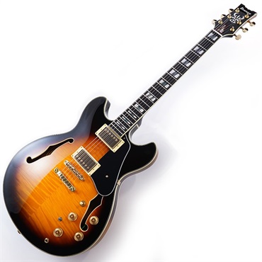 Ibanez JSM10-VYS [John Scofield Model] 画像1