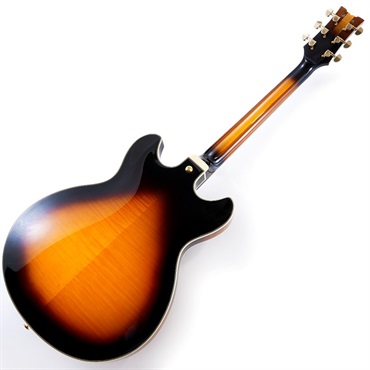 Ibanez JSM10-VYS [John Scofield Model] 画像2