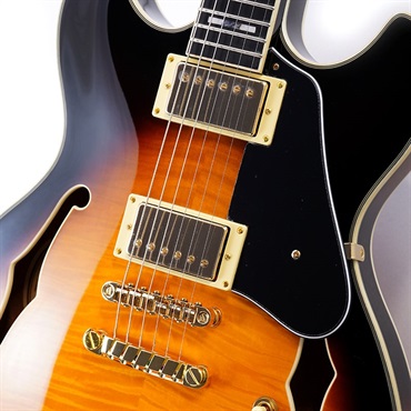 Ibanez JSM10-VYS [John Scofield Model] 画像3