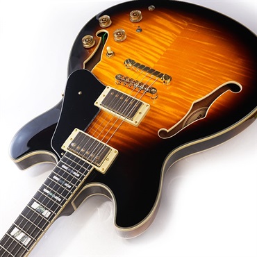 Ibanez JSM10-VYS [John Scofield Model] 画像5