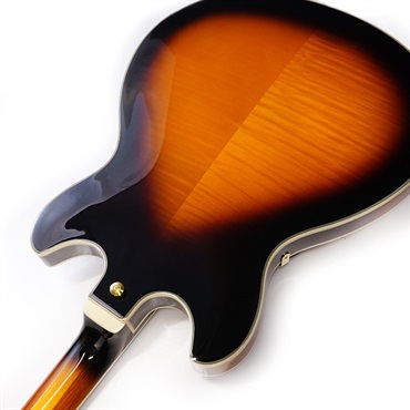 Ibanez JSM10-VYS [John Scofield Model] 画像6
