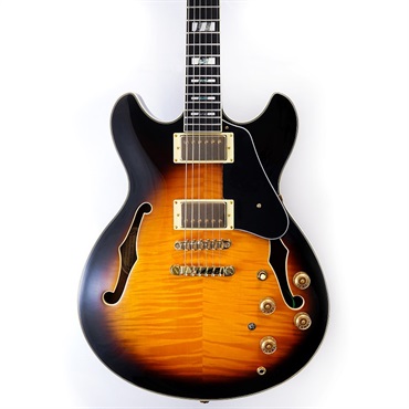 Ibanez JSM10-VYS [John Scofield Model] 画像9