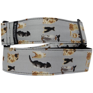 Daiking Corporation DaikingStrap DGST-Sitting Dogs (お座り犬) 画像1