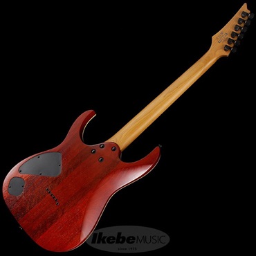 Ibanez RG421HPAM-ABL 画像2