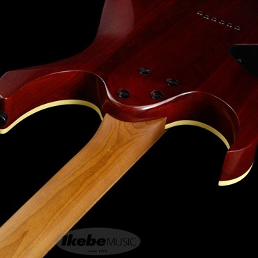 Ibanez RG421HPAM-ABL 画像6