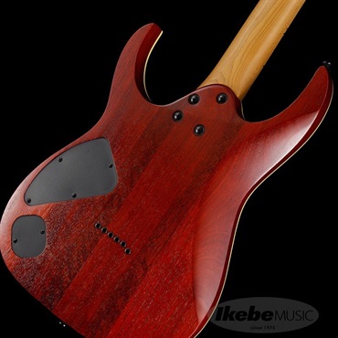 Ibanez RG421HPAM-ABL 画像7