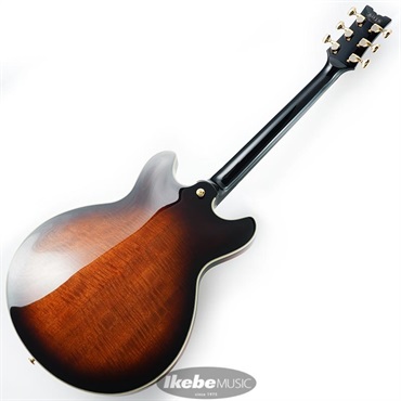 Ibanez JSM100-VT [John Scofield Signature Model] 画像2