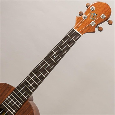 BIG ISLAND KT-TR ビッグアイランド 画像8