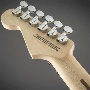 Charvel Warren DeMartini Signature Pro-Mod Blood and Skull (Blood and Skull/Maple) 画像5