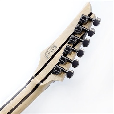 Ibanez j.custom RG8570-RBS SN.F2601549 画像9