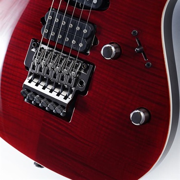 Ibanez KIKO100-TRR [KIKO LOUREIRO signature model] SN.F2616099 画像4
