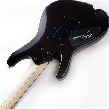 Ibanez KIKO100-TRR [KIKO LOUREIRO signature model] SN.F2616099 画像6