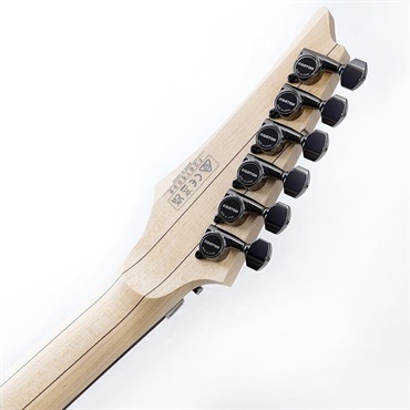 Ibanez KIKO100-TRR [KIKO LOUREIRO signature model] SN.F2616099 画像9