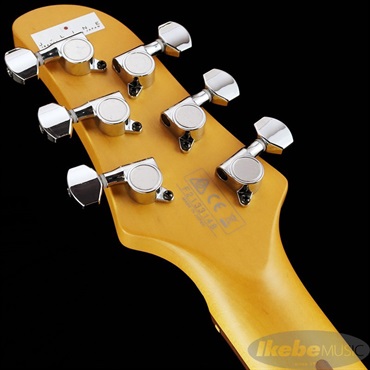 Ibanez J-LINE TM730SP-IVW 画像7