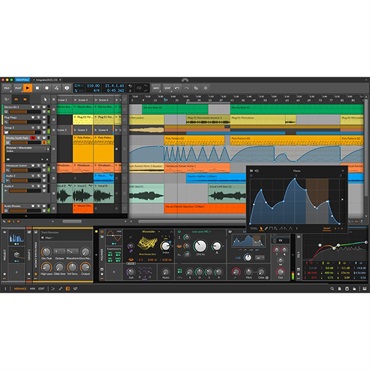 BITWIG Bitwig Studio Essentials(代引不可)(オンライン納品) 画像2