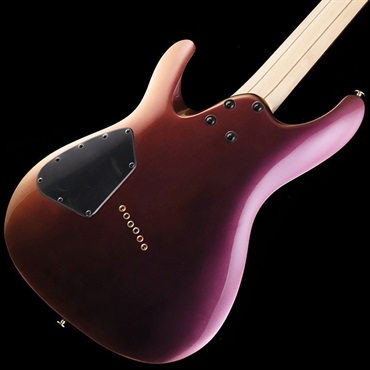 Ibanez Axe Design Lab SML721-RGC 画像5