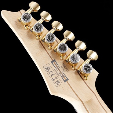 Ibanez Axe Design Lab SML721-RGC 画像7