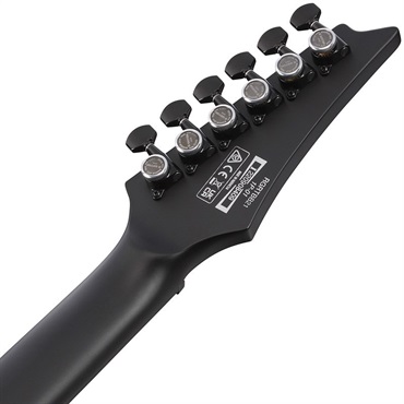 Ibanez Iron Label RGRTBB21-BKF [SPOT MODEL] 画像5