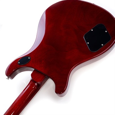 P.R.S. S2 10th Anniversary McCarty 594 (Fire Red Burst) #S2065943 画像6