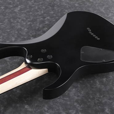 Ibanez Iron Label RGIXL7-BKF 画像3