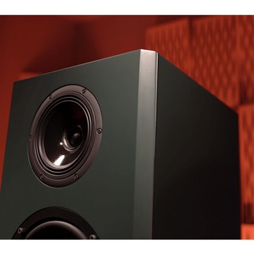 Antelope Audio Atlas i8 (ペア)【お取り寄せ商品】 画像4