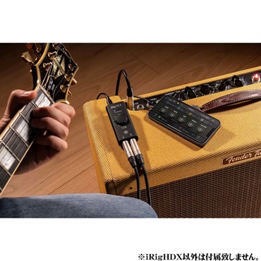 IK Multimedia iRig HD X(モバイル・ギター向けUSB-Cオーディオインターフェイス)(アイケーマルチメディア)(アイリグ)(DTM) 画像2