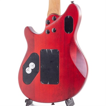 EVH Wolfgang WG Standard Exotic Poplar Burl (Natural/Baked Maple) 【特価】 画像7
