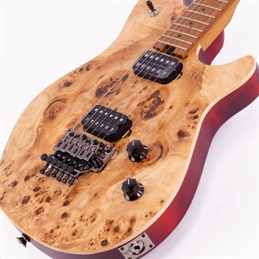 EVH Wolfgang WG Standard Exotic Poplar Burl (Natural/Baked Maple) 【特価】 画像9
