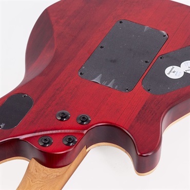 EVH Wolfgang WG Standard Exotic Poplar Burl (Natural/Baked Maple) 【特価】 画像10